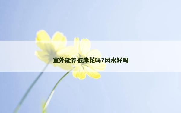 室外能養彼岸花嗎?風水好嗎