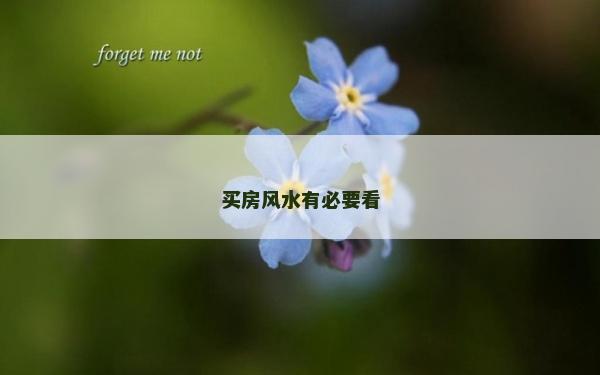買房風水有必要看