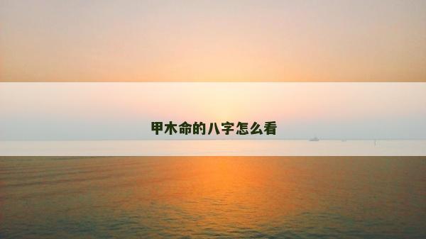 甲木命的八字怎么看