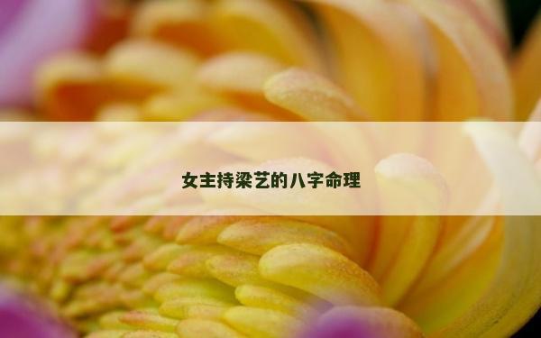 女主持梁藝的八字命理
