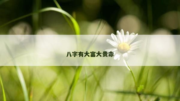 八字有大富大貴命