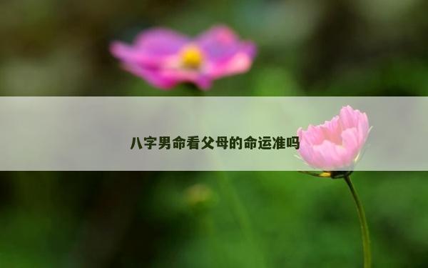 八字男命看父母的命運(yùn)準(zhǔn)嗎