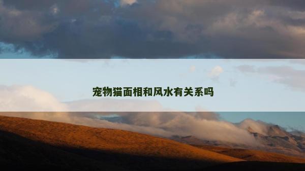 寵物貓面相和風(fēng)水有關(guān)系嗎 寵物貓面相和風(fēng)水有關(guān)系嗎