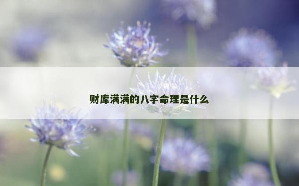 財庫滿滿的八字命理是什么