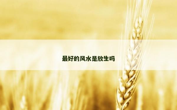 最好的風水是放生嗎