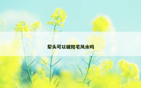 犁頭可以破陽宅風水嗎