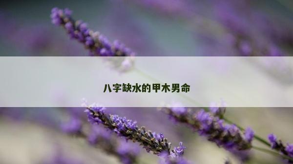 八字缺水的甲木男命