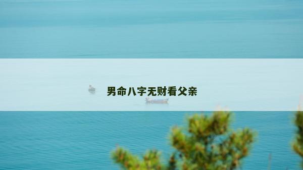 男命八字無財看父親