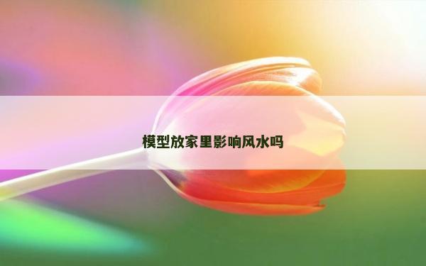 模型放家里影響風水嗎