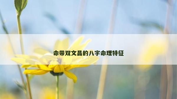 命帶雙文昌的八字命理特征