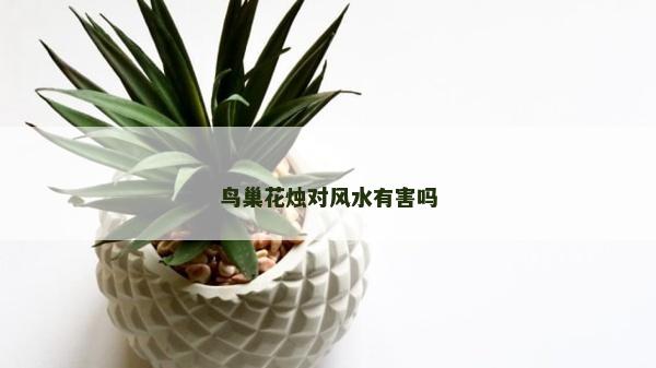 鳥巢花燭對風(fēng)水有害嗎