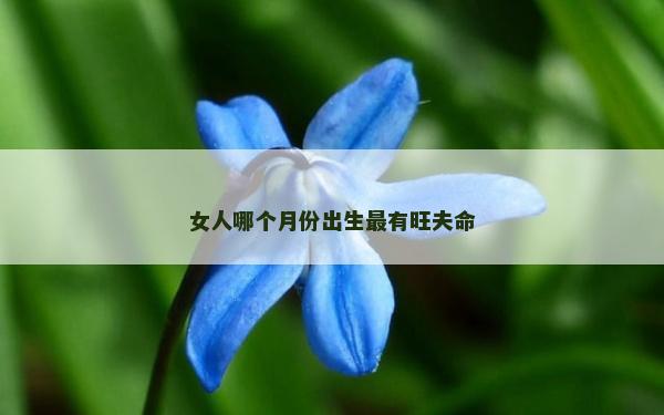 女人哪個月份出生最有旺夫命