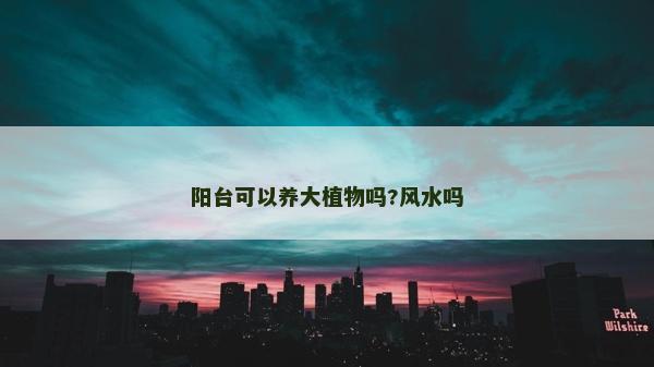 陽臺可以養大植物嗎?風水嗎