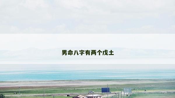 男命八字有兩個戊土