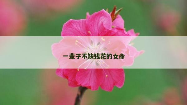一輩子不缺錢花的女命