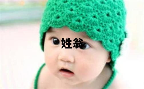 姓翁叫什么名字好 姓翁的男孩有靈氣的名字