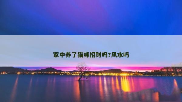 家中養(yǎng)了貓咪招財嗎?風水嗎