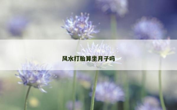 風(fēng)水打胎算坐月子嗎