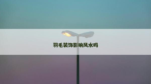 羽毛裝飾影響風(fēng)水嗎