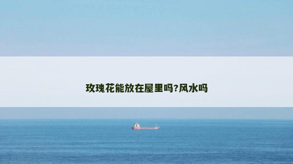 玫瑰花能放在屋里嗎?風水嗎