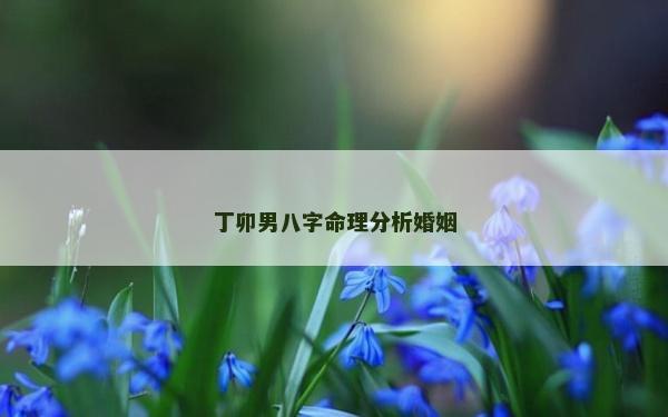 丁卯男八字命理分析婚姻