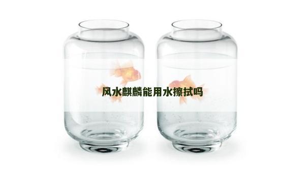風水麒麟能用水擦拭嗎