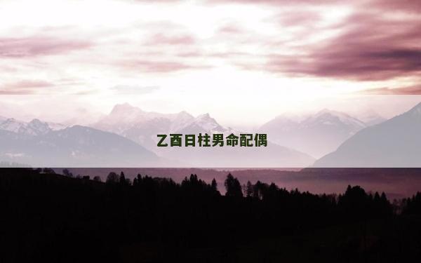 乙酉日柱男命配偶 乙酉日柱男命配偶