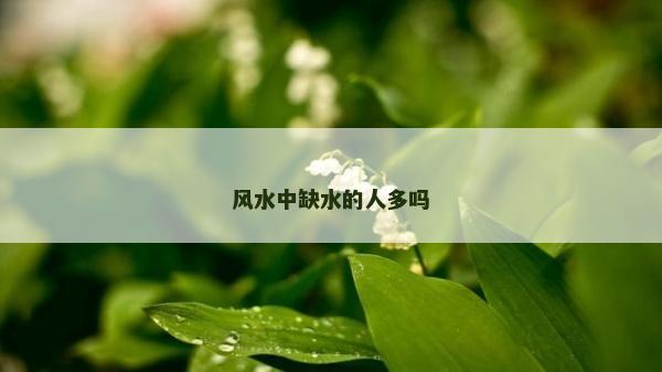 風水中缺水的人多嗎