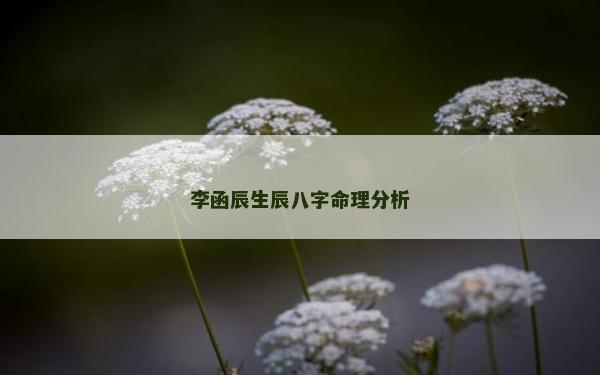 李函辰生辰八字命理分析
