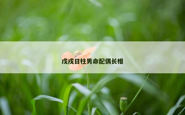 戊戌日柱男命配偶長相