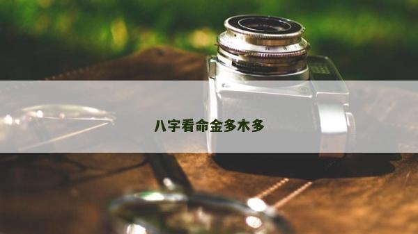 八字看命金多木多