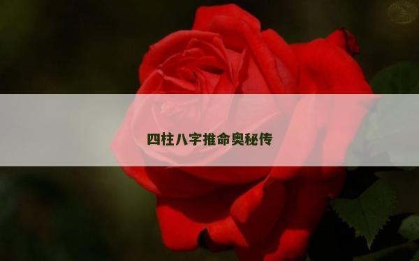 四柱八字推命奧秘傳