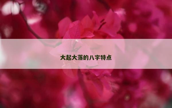 大起大落的八字特點