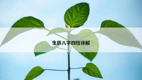 生辰八字四柱詳解