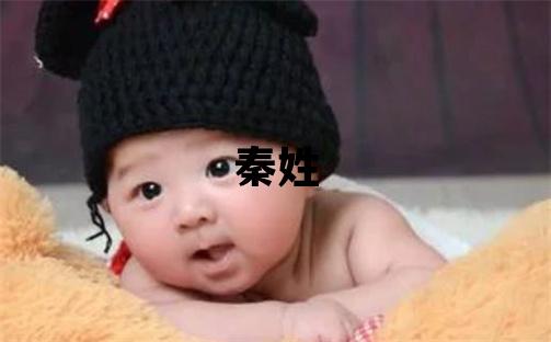 秦姓有涵養的男孩名字,取什么名字好