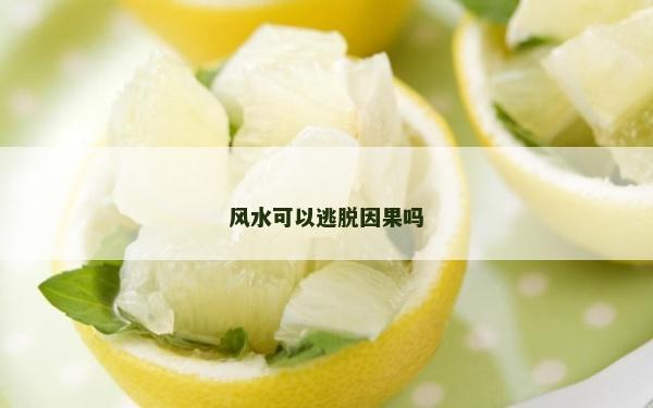 風水可以逃脫因果嗎