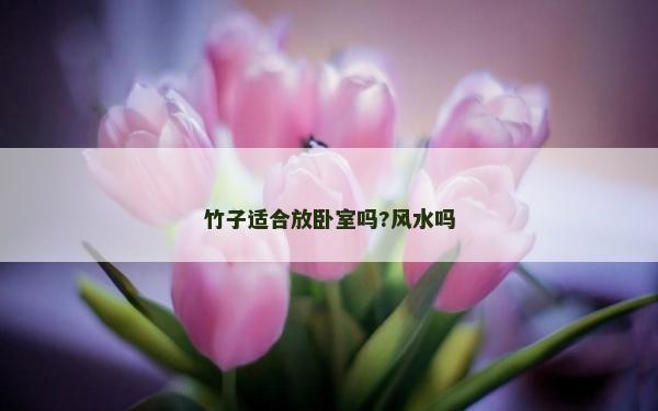 竹子適合放臥室嗎?風水嗎