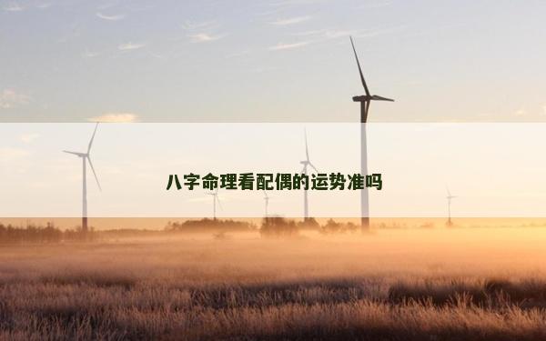 八字命理看配偶的運勢準嗎