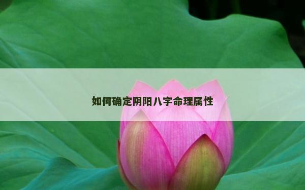 如何確定陰陽八字命理屬性