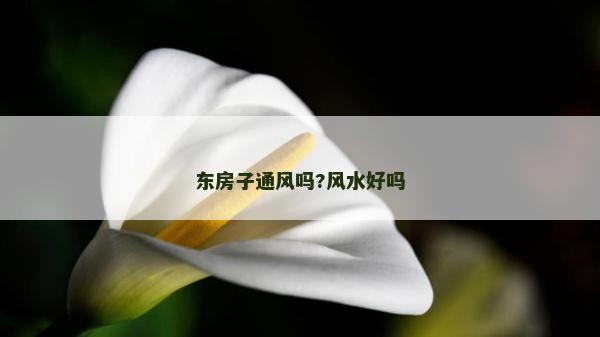 東房子通風嗎?風水好嗎