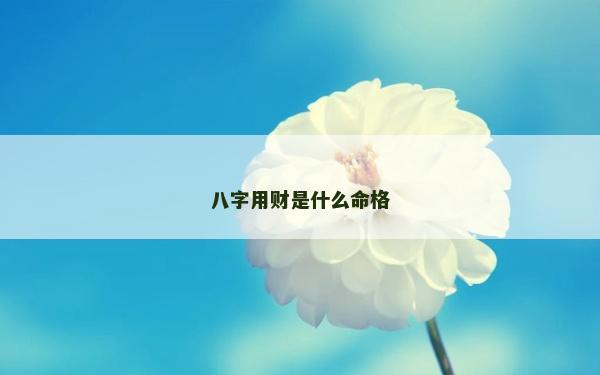 八字用財是什么命格
