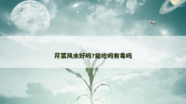 芹菜風水好嗎?能吃嗎有毒嗎
