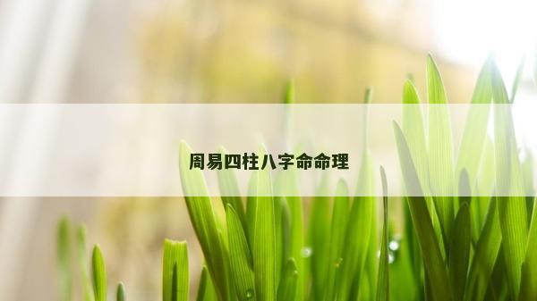 周易四柱八字命命理