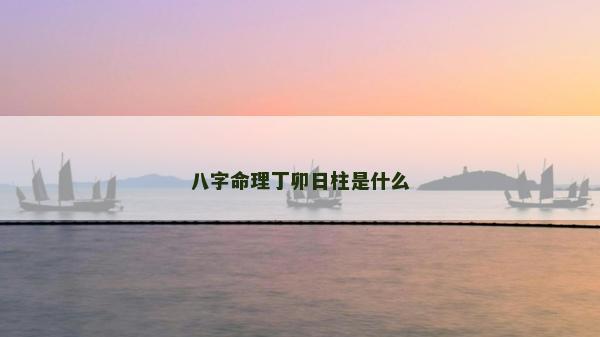 八字命理丁卯日柱是什么