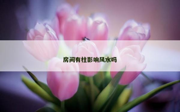 房間有柱影響風(fēng)水嗎