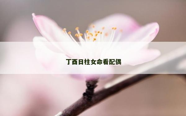 丁酉日柱女命看配偶