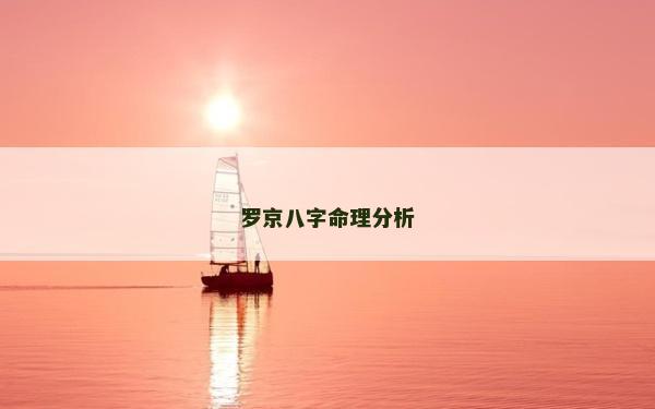 羅京八字命理分析