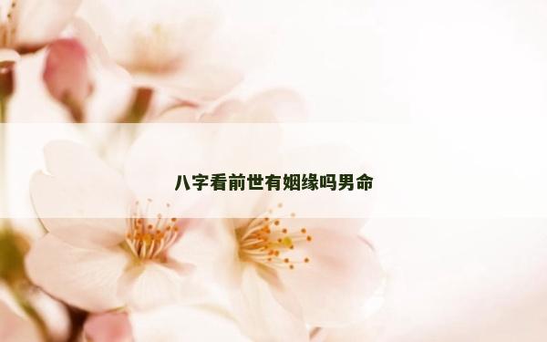 八字看前世有姻緣嗎男命