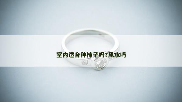 室內適合種柿子嗎?風水嗎