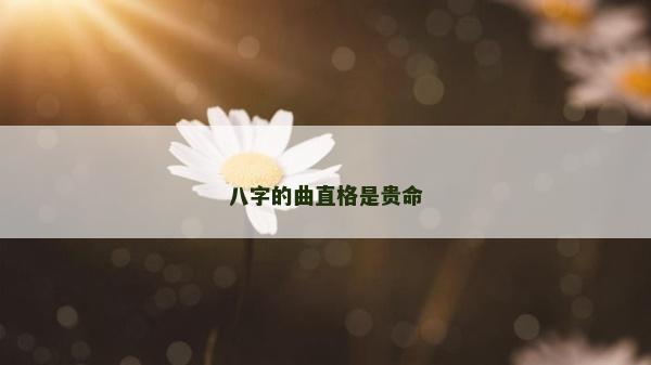 八字的曲直格是貴命